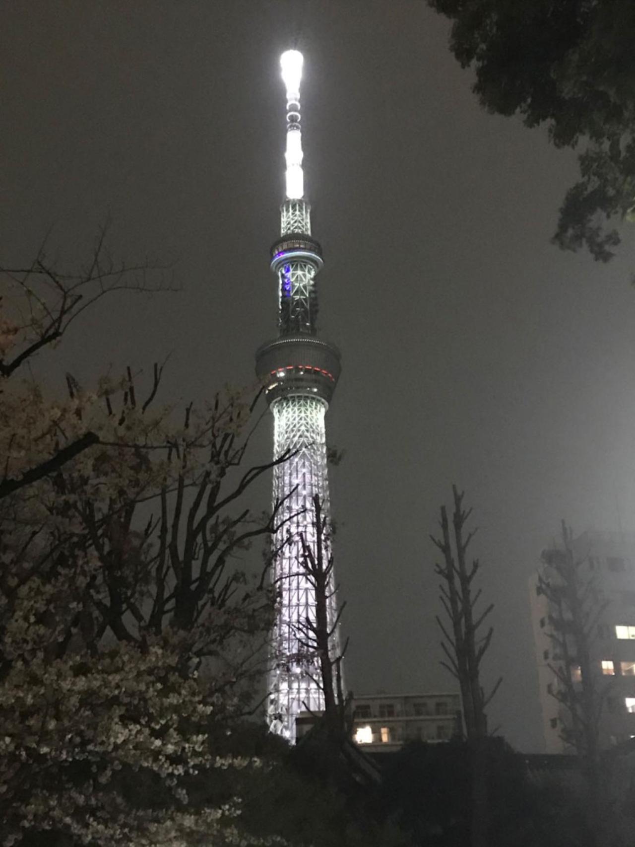 Sky Tree Inn Tokyo Exterior photo