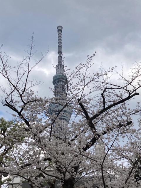 Sky Tree Inn Tokyo Exterior photo